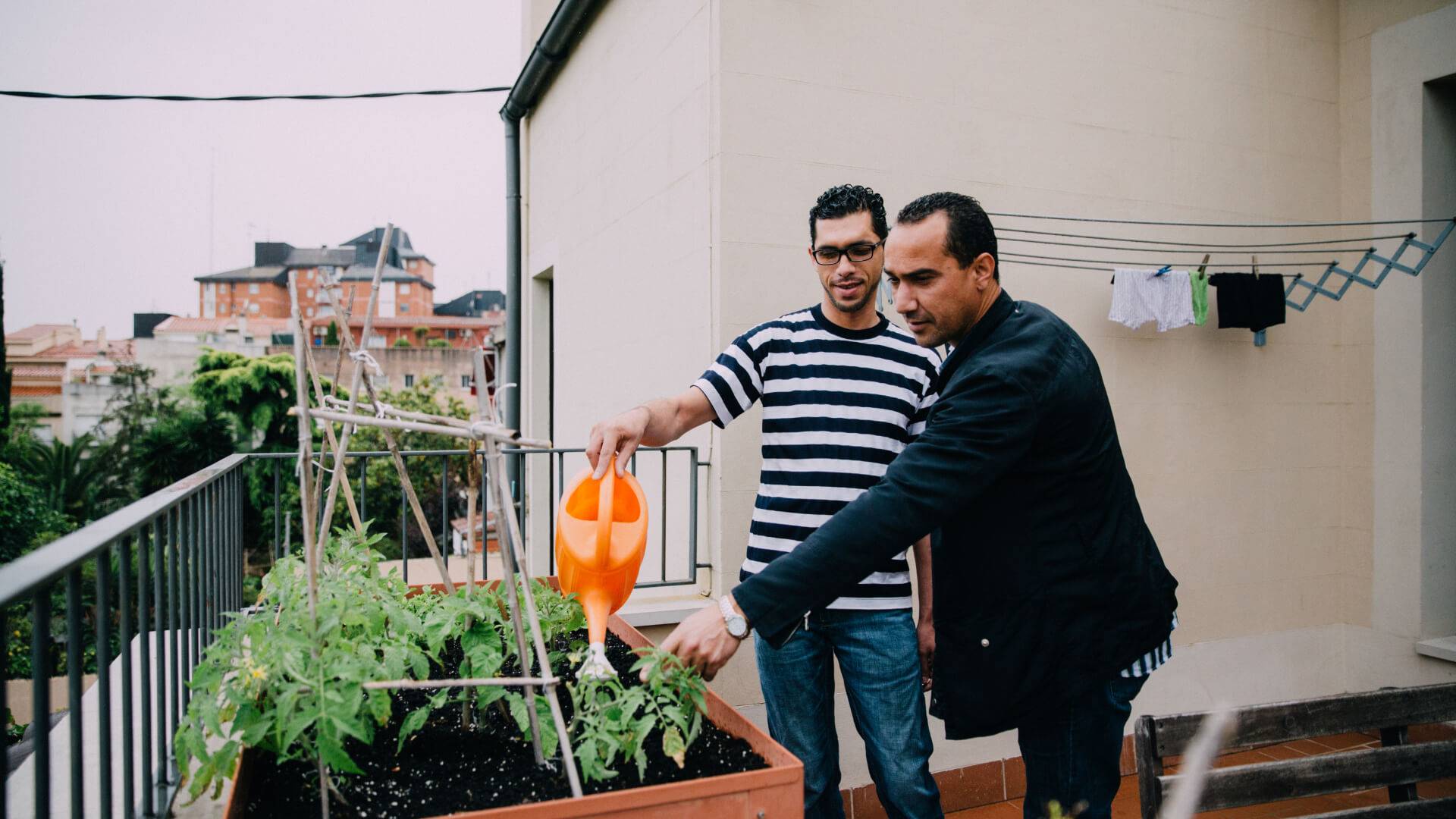 Habitatges d’inclusió social